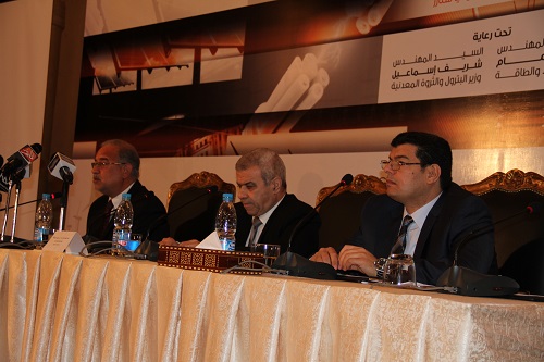 الاستثمار فى الطاقة..السبكى :التشريعات الموجودة فى مصر تسمح للقطاع الخاص والعام استخدام الطاقات المتجددة