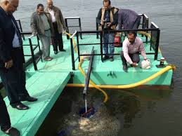 مدير معهد بحوث الميكانيكا والكهرباء: دراسة لرفع المياه باستخدام الطاقة الجديدة والمتجددة بالتعاون مع البنك الأفريقى