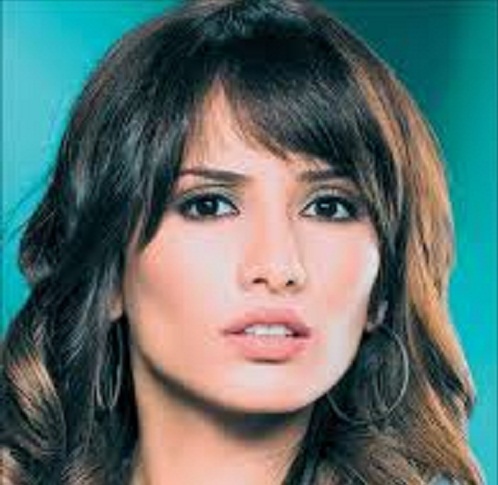 زينة تتقدم بشكوى ضد أحمد عز لتسجيل طفليها التوأم