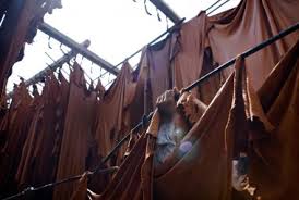 أسامة حشاد: مفاوضات بين «الصناعة» و«التنمية الصناعية » مع «المالية» لاستكمال المرحلة الثانية من الروبيكى