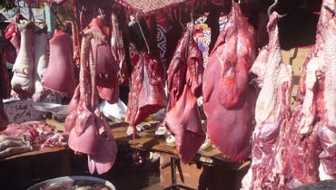 48 جنيه سعر كيلو اللحوم البلدية بـ 7 شوادر بالإسماعيلية