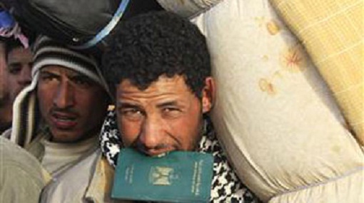 العمالة المصرية