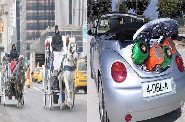 الصراع يشتد بين خيول نيويورك والسيارات كهربائية