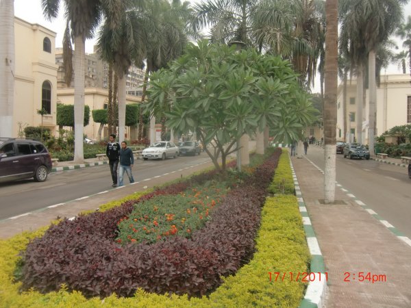 “زراعة القاهرة” تحتفل بمرور 125 عاما علي انشائها السبت المقبل