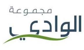 مجموعة الوادى القابضة