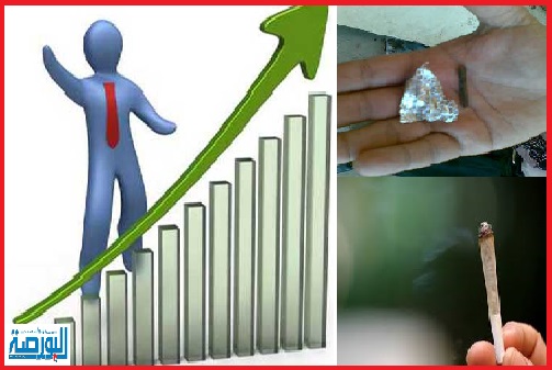 جديد..تقنين الحشيش..لتحسين الأجور