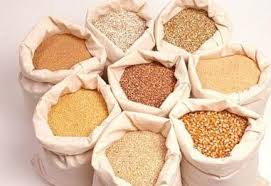 الجبلي: الأمن الغذائي المصري في خطر بسبب أزمة صناعة الأسمدة