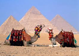 منظمة السياحة العالمية: مصر ستعود لواجهة السياحة بالشرق الأوسط