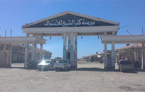 رئيس بورصة أسماك كفر الشيخ: طرح مناقصة لإنشاء ثلاثة مصانع مكملة بقيمة 10 ملايين جنيه العام الجارى