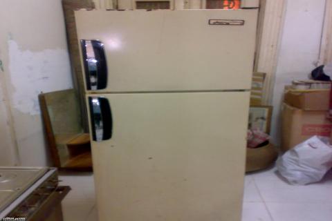 «سيلتال» لتصنيع الثلاجات تضع خطة للتوسع فى التصدير لأسواق عربية وأفريقية