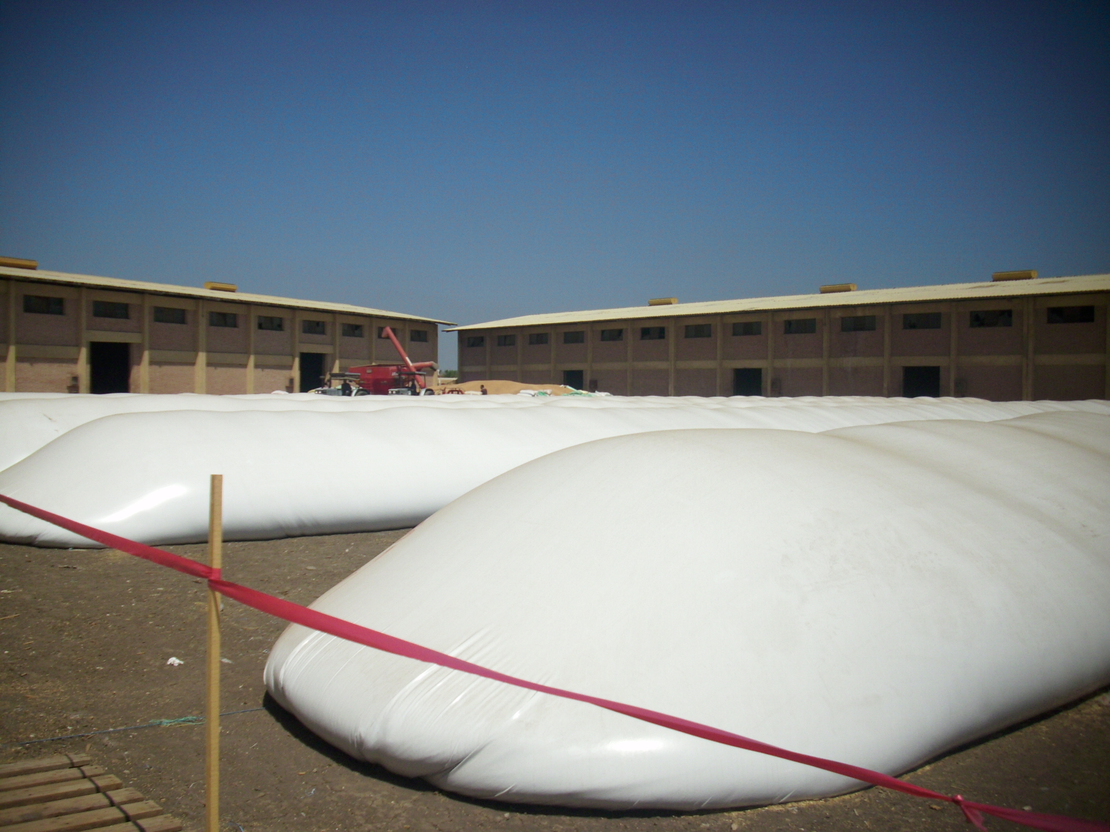 « الزراعة » تختبر تخزين القمح فى صوامع بلاستيكية