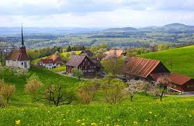 الضرائب فى نيوزيلاندا