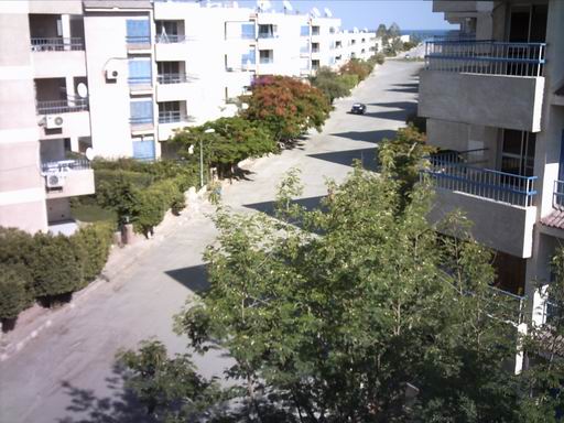 «الزهار» تطور المرحلة الثانية من «الأشجار» باستثمارات 110 ملايين جنيه