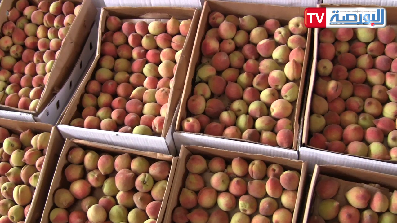 بالفيديو..تجارسوق العبور: أسعارنا أرخص 200% من المحلات