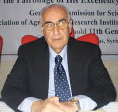 عادل البلتاجى