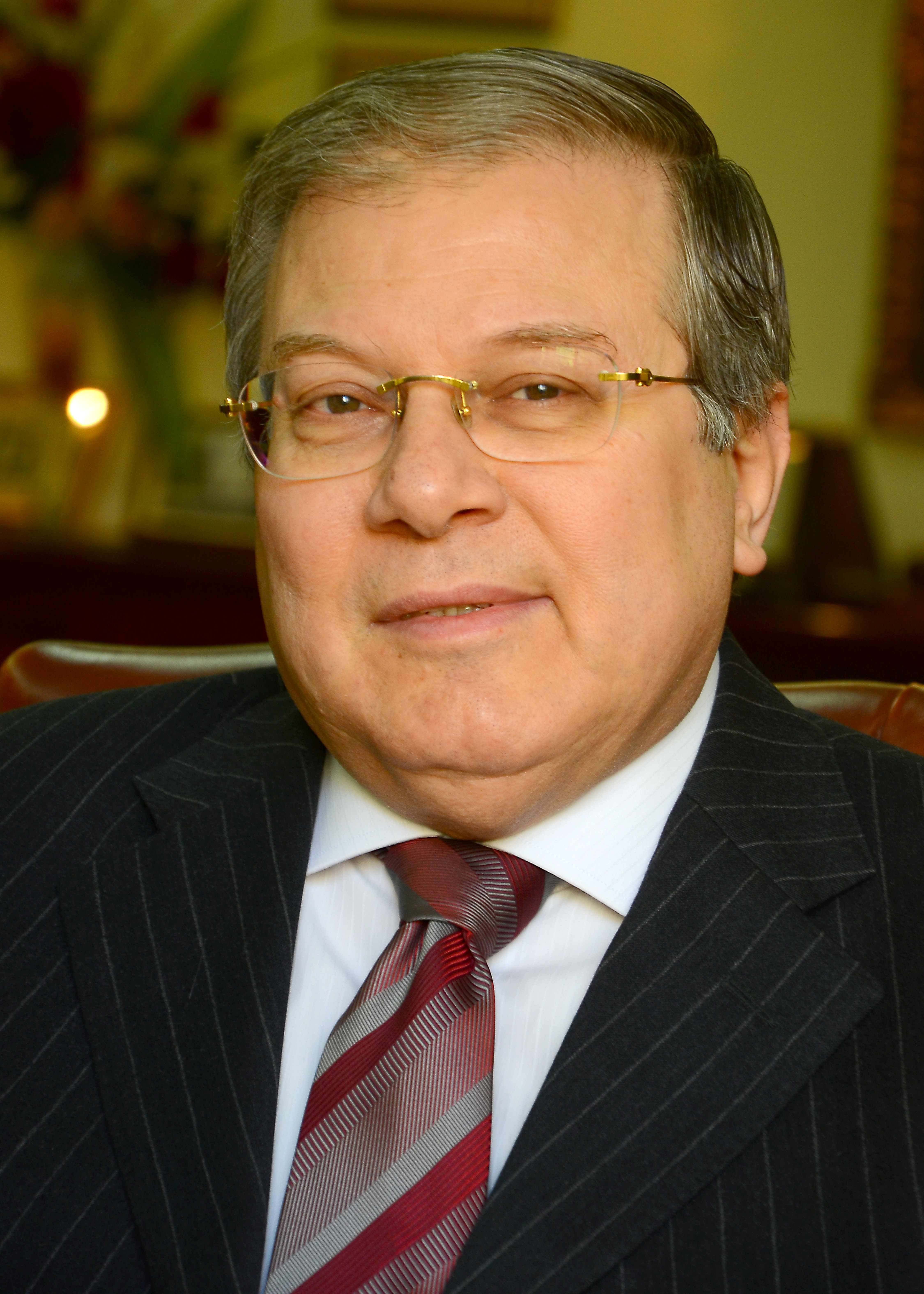 رئيس القابضة للتامين