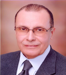 نائب رئيس مجلس إدارة قناة السويس للتأمينات