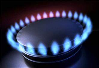 وصول 13 ألف طن بوتاجاز و3036 رأس إبل لموانئ السويس