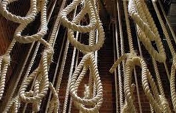 المرصد المصرى للحقوق: 1702 إجمالى المحكوم عليهم فى يونيه ..و183 بالإعدام