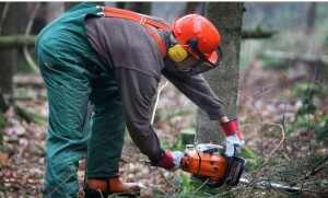 بالصور.. تعرف على الـ 8 مهن الأكثر خطورة في العالم