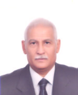 «التأمين» يجدد مطالب الإسراع بتغطية أبراج ومحطات الكهرباء