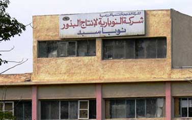 شركة نوباسيد