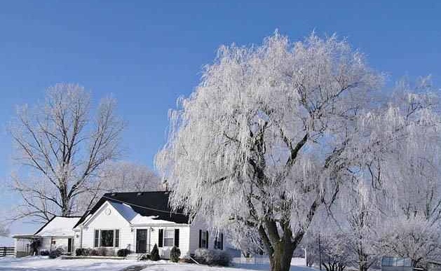 موناكو تتبوأ لائحة المدن الجاذبة لأصحاب المليارات