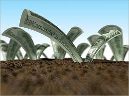 الفرص الإستثمارية