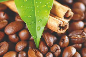 تعرف على اكبر اسواق القهوة فى العالم