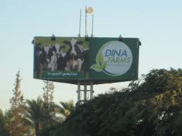 مزارع دينا