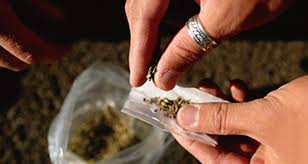 مكافحة المخدرات: الحشيش هو المخدر الأول في مصر