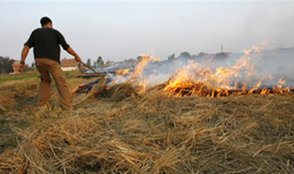 البيئة تعقد حملة توعية من مخاطر حرق قش الأرز بالتعاون مع الجمعيات الزراعية