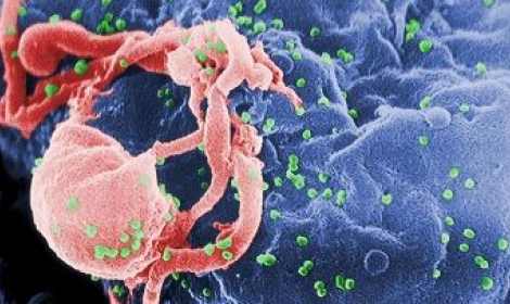 بعد إعلان تسجيل مرضى فيرس سي … موقع nccvh.org يتصدر مؤشر جوجل