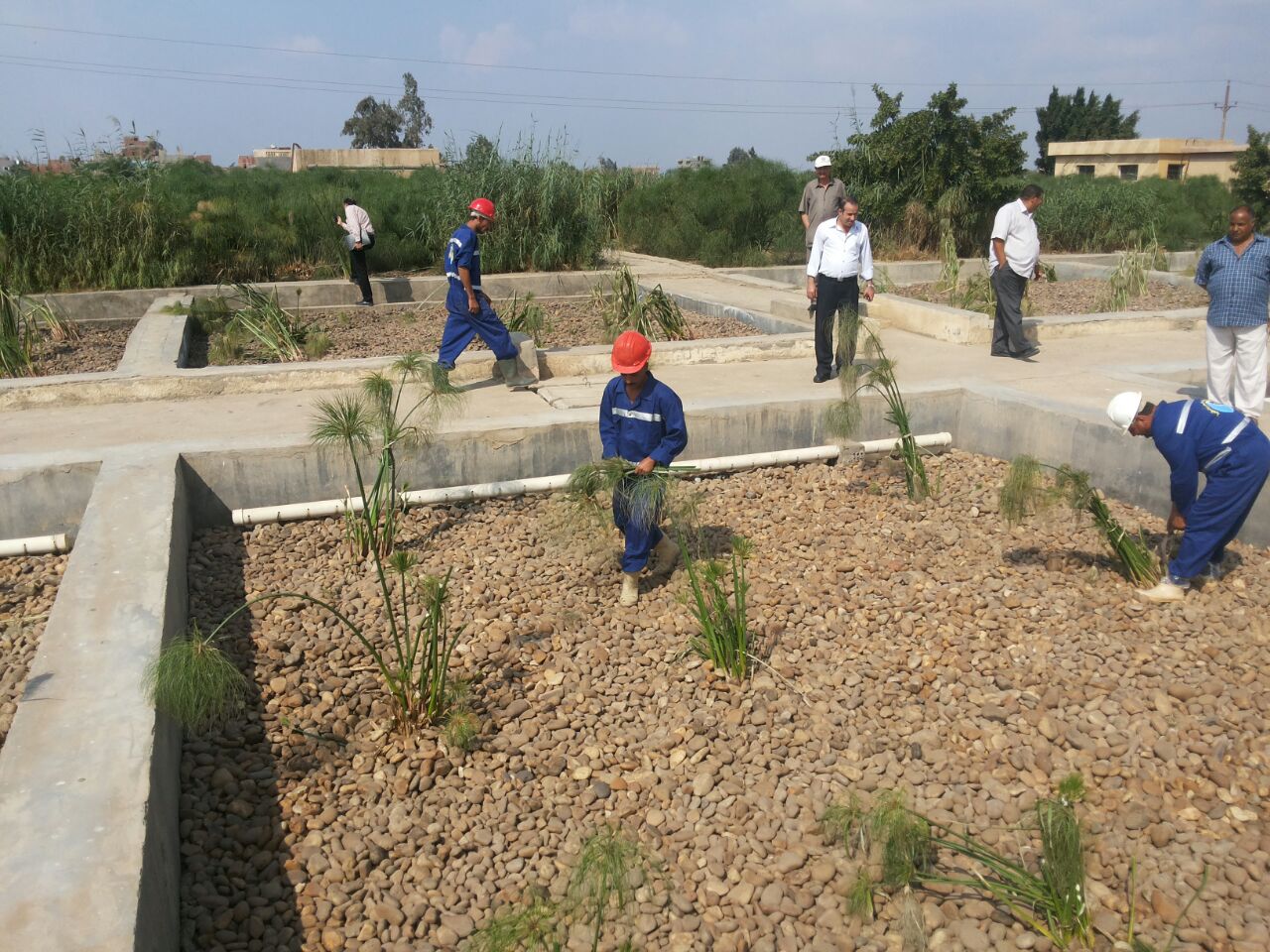 ” اﻹسكان” تدرس أنظمة غير تقليدية ﻹنهاء أزمة الصرف الصحى بالقرى