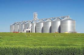 الحكومة تفاوض "العامه للصوامع والتخزين" للمساهمة في "المركز اللوجيستي لتخزين الحبوب"