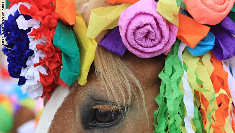 المواكب الملكية في جمهورية التشيك