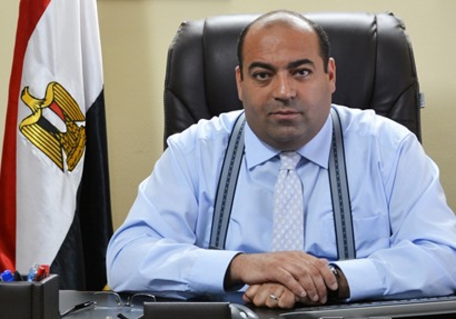 نائب رئيس الإتحاد الدولى للمشروعات الصغيرة والمتوسطة