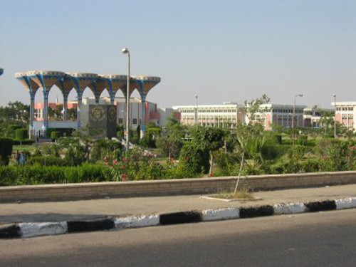 “الاسماعيلية” تنظم برنامج تدريبى للعاملين بوحدة تنمية الابداع بجامعة قناة السويس