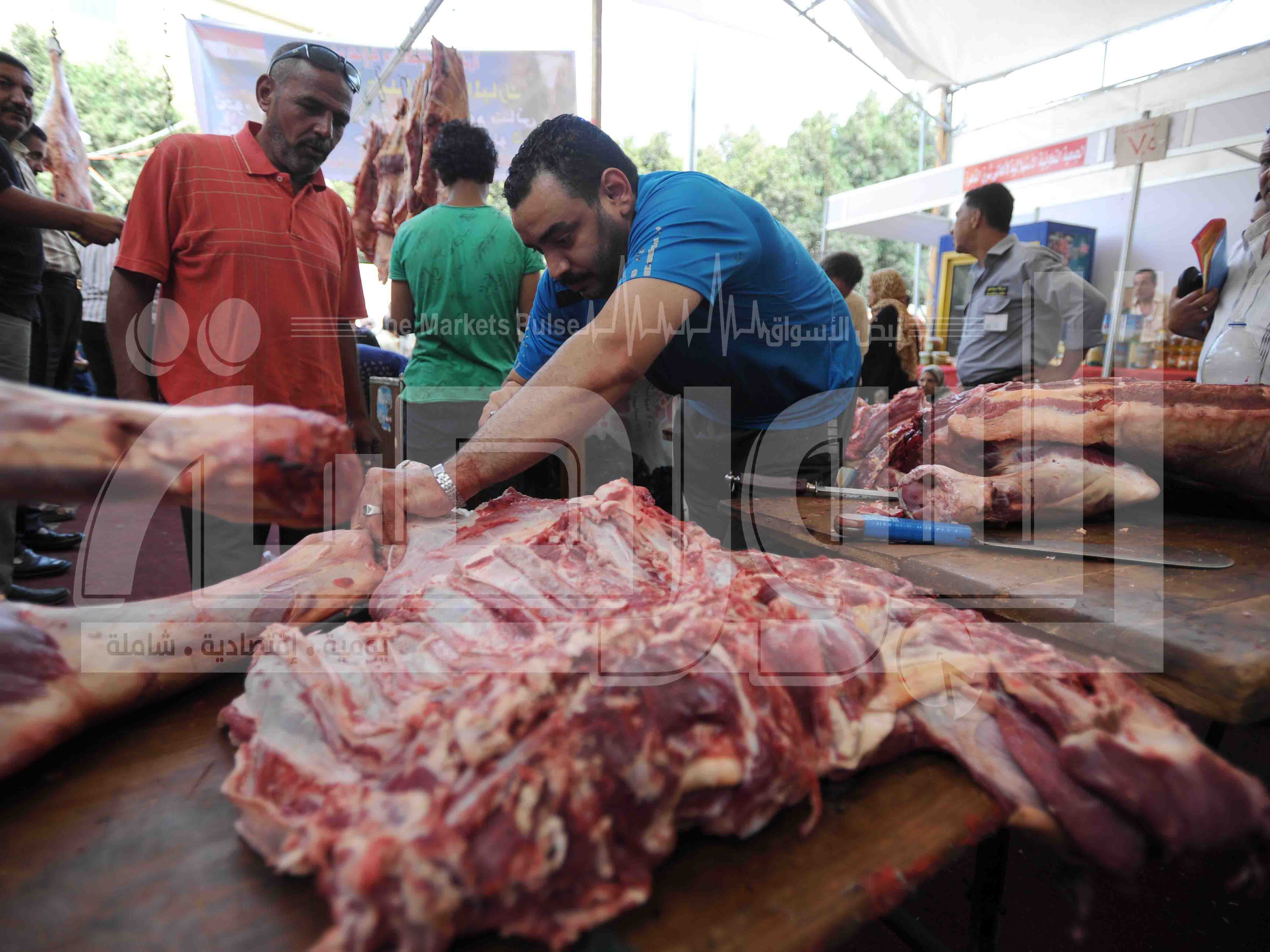 استعدادات شادر اللحوم قبل عيد الاضحى