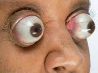 تعرف على ارقام قياسية من كتاب جينيس