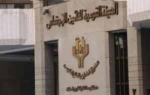 صندوق التأمين الحكومى يقترح مبادلة ديون التأمينات بحصص في المشروعات القومية