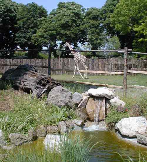 حديقة حيوان