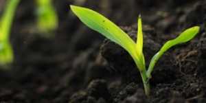 أكبر 10 شركات أمريكية خاصة لعام 2014أكبر 10 شركات أمريكية خاصة لعام 2014