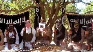 أنصار بيت المقدس