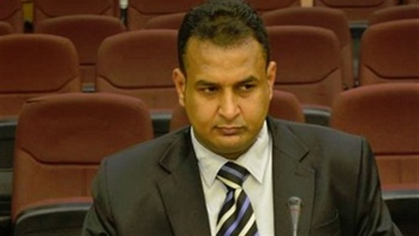 الحسين حسان مؤسس حملة مين بيحب مصر