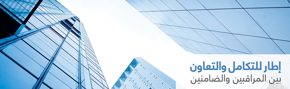 منتدى الهيئات العربية للاشراف والرقابة