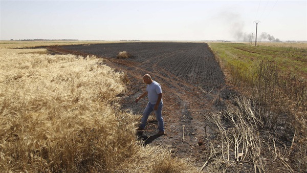 “فاو”: 33% من رقعة التربة في العالم تعانى من التدهور