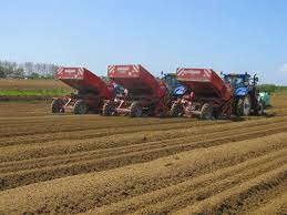 الإنتاج الزراعى