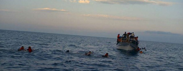 ” الهجرة الدولية” : 123 ألف مصري يعيشون في ايطاليا يعملون في مؤسسات يمتلكها مصريون