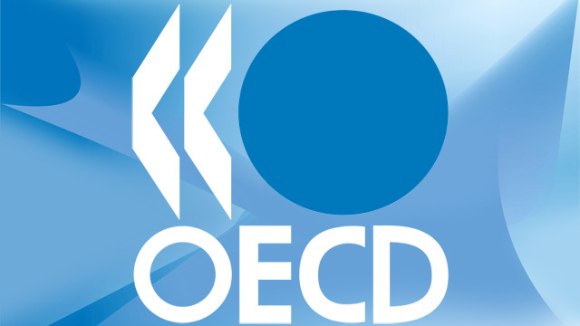 برنامج الاستثمار بمنظمة التنمية والتعاون الاقتصادى